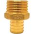 Apollo 1 in. Brass PEX-B Barb x 3/4 in. Male Pipe Thread Reducing Adapter