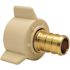 Apollo 1/2 in. Brass PEX-B Barb x Female Swivel Adapter