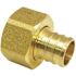 Apollo 3/4 in. Brass PEX-B Barb x Female Swivel Adapter