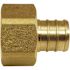 Apollo 3/4 in. Brass PEX-B Barb x Female Swivel Adapter