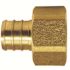 Apollo 3/4 in. Brass PEX-B Barb x Female Swivel Adapter