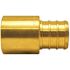 Apollo 3/4 in. Brass PEX-B Barb x Male Copper Sweat Adapter