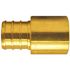 Apollo 3/4 in. Brass PEX-B Barb x Male Copper Sweat Adapter