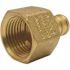 Apollo 1/2 in. Brass PEX-B Barb x 1/2 in. Female Pipe Thread Adapter (5-Pack)