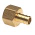 Apollo 1/2 in. Brass PEX-B Barb x 1/2 in. Female Pipe Thread Adapter (5-Pack)