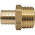 Apollo 1 in. Brass PEX-B Barb x Male Pipe Thread Adapter