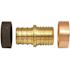 Apollo 3/4 in. Brass PEX-B Barb Polybutylene Coupling
