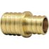 Apollo 1 in. x 3/4 in. Brass PEX-B Barb Reducing Coupling