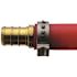 Apollo 1/2 in. Brass PEX-B Barb Coupling (10-Pack)