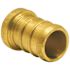 Apollo 1/2 in. Brass PEX-B Barb Plug (5-Pack)