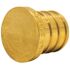 Apollo 3/4 in. Brass PEX-B Barb Plug