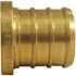 Apollo 3/4 in. Brass PEX-B Barb Plug
