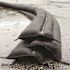 Quick Dam Grab and Go Flood Protection Kit Containing 10 - 5 ft. Flood Barriers w/Bucket
