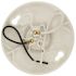 Leviton 660-Watt Medium Base Single Circuit Keyless Outlet Box Mount Plastic Incandescent Lampholder, White