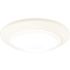 Westinghouse 15-Watt White Indoor/Outdoor Integrated LED Flush Mount