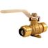 Tectite 1/2 in. Brass Push Ball Valve with Flange and Drain