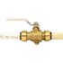 Tectite 3/4 in. Brass Push Ball Valve with Flange and Drain