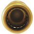 Tectite 3/4 in. Brass Push-to-Connect Check Valve
