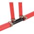 Apollo 3/4 in. x 1/2 in. Poly Alloy Barb x PEX-B Barb 2-Port Open Manifold