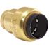 Tectite 1/2 in. Brass Push-To-Connect Cap with Drain