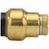 Tectite 1/2 in. Brass Push-To-Connect Cap with Drain