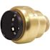 Tectite 3/4 in. Brass Push-To-Connect Cap with Drain