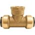 Tectite 3/4 in. Push-To-Connect x Push-To-Connect x Female Pipe Thread Tee