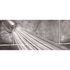 Earth Spa 3-Spray Patterns with 2 GPM 2.7-in. Wall Mount Adjustable Fixed Shower Head in Brushed Nickel, (50-Pack)