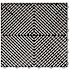 Swisstrax Black and White Checkered Double Car Pad Ribtrax Modular Tile Flooring (268 sq. ft./case)
