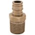 TRIBAL MFG. ADAPTER, 1 IN. X 1 IN. MALE NPT, PEX-A, LEAD FREE