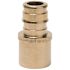 Tribal Mfg. ONE-PIECE BRASS SWEAT ADAPTER, 1/2 IN. X 1/2 IN. FEMALE, PEX-A, LEAD FREE