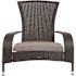 BALKENE HOME Coconino Black Wicker Plastic Adirondack Chair with Gray Cushion