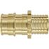 Apollo 3/4 in. Brass PEX-A Expansion Barb x Polybutylene Coupling (5-Pack)