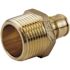 Apollo 1/2 in. Brass PEX-A Expansion Barb x 3/4 in. MNPT Male Adapter