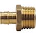 Apollo 1/2 in. Brass PEX-A Expansion Barb x 3/4 in. MNPT Male Adapter