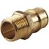 Apollo 1 in. Brass PEX-A Expansion Barb x 3/4 in. MNPT Reducing Male Adapter