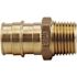 Apollo 1 in. Brass PEX-A Expansion Barb x 3/4 in. MNPT Reducing Male Adapter