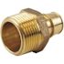 Apollo 3/4 in. Brass PEX-A Expansion Barb x 1 in. MNPT Male Adapter