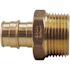 Apollo 3/4 in. Brass PEX-A Expansion Barb x 1 in. MNPT Male Adapter