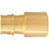 Apollo 3/4 in. Brass PEX-A Expansion Barb x 3/4 in. Female Sweat Adapter (5-Pack)