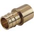 Apollo 1 in. Brass PEX-A Expansion Barb x 1 in. Female Sweat Adapter