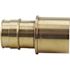 Apollo 1 in. Brass PEX-A Expansion Barb x 1 in. Female Sweat Adapter