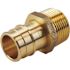 Apollo 1 in. Brass PEX-A Expansion Barb x 1 in. MNPT Male Adapter