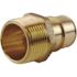Apollo 1 in. Brass PEX-A Expansion Barb x 1 in. MNPT Male Adapter