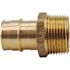 Apollo 1 in. Brass PEX-A Expansion Barb x 1 in. MNPT Male Adapter