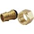 Apollo 3/4 in. Brass PEX-A Expansion Barb x 3/4 in. FNPT Female Swivel Adapter