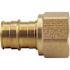 Apollo 3/4 in. Brass PEX-A Expansion Barb x 3/4 in. FNPT Female Swivel Adapter
