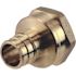 Apollo 3/4 in. Brass PEX-A Expansion Barb x 1 in. FNPT Female Adapter
