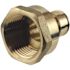 Apollo 3/4 in. Brass PEX-A Expansion Barb x 1 in. FNPT Female Adapter