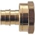Apollo 3/4 in. Brass PEX-A Expansion Barb x 1 in. FNPT Female Adapter